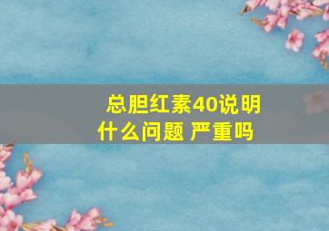 总胆红素40说明什么问题 严重吗